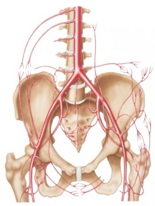 aorte abdominale