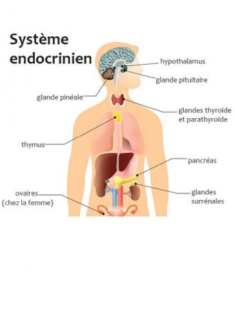 diabétologie endocrinologie