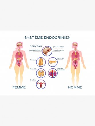 Diabétologie endocrinologie