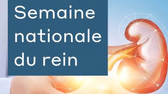 Dépistage rein et diabete